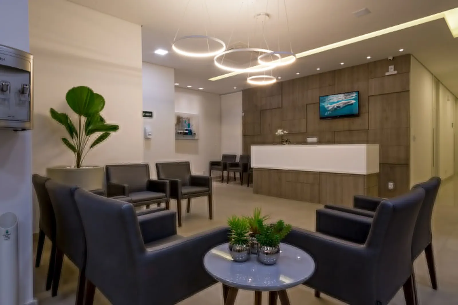 Sala de espera com poltronas, mesa de centro com plantas e balcão de recepção ao fundo